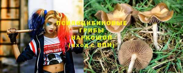 СК Володарск