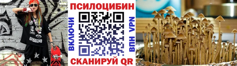где найти наркотики  Дятьково  Галлюциногенные грибы ЛСД 